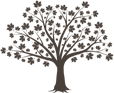 Central Coast Tree Specialist Landscape Preservation Services